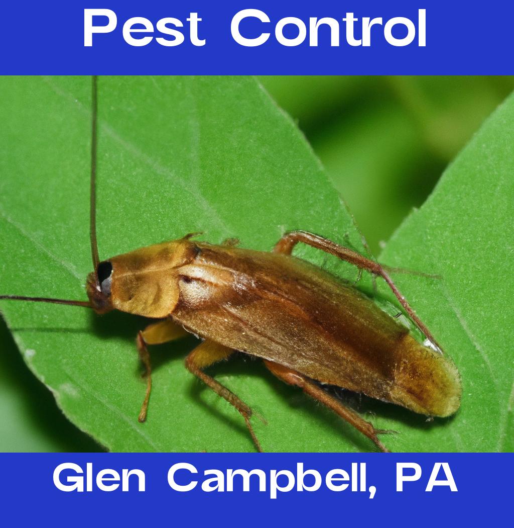 pest control in Glen Campbell Pennsylvania