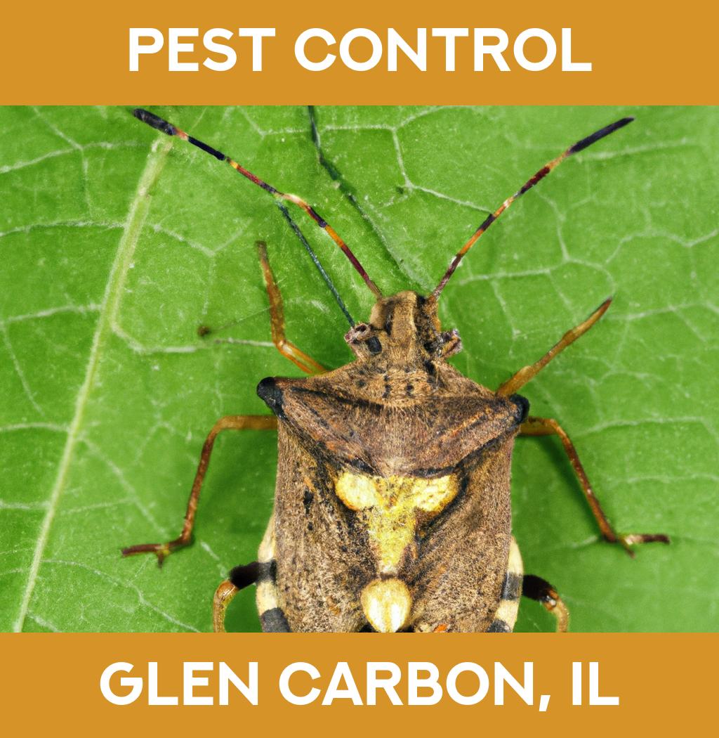 pest control in Glen Carbon Illinois