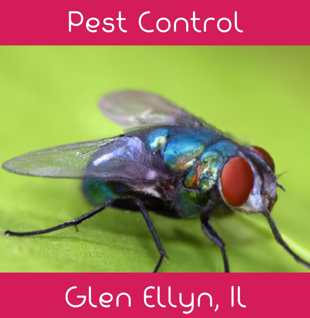 pest control in Glen Ellyn Illinois