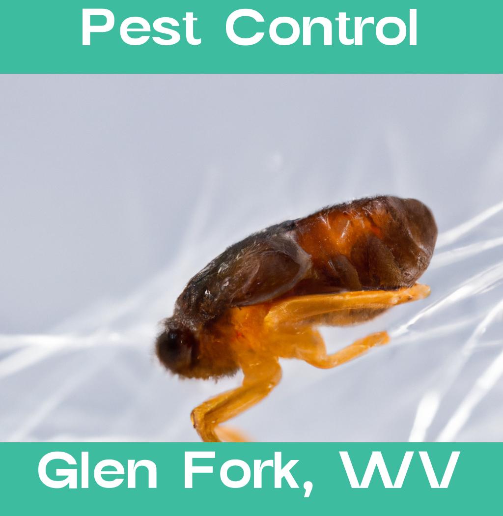 pest control in Glen Fork West Virginia