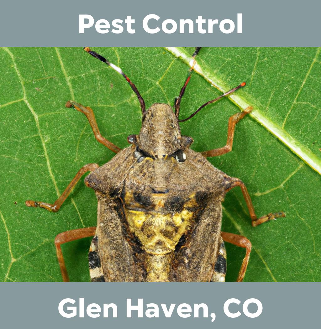 pest control in Glen Haven Colorado