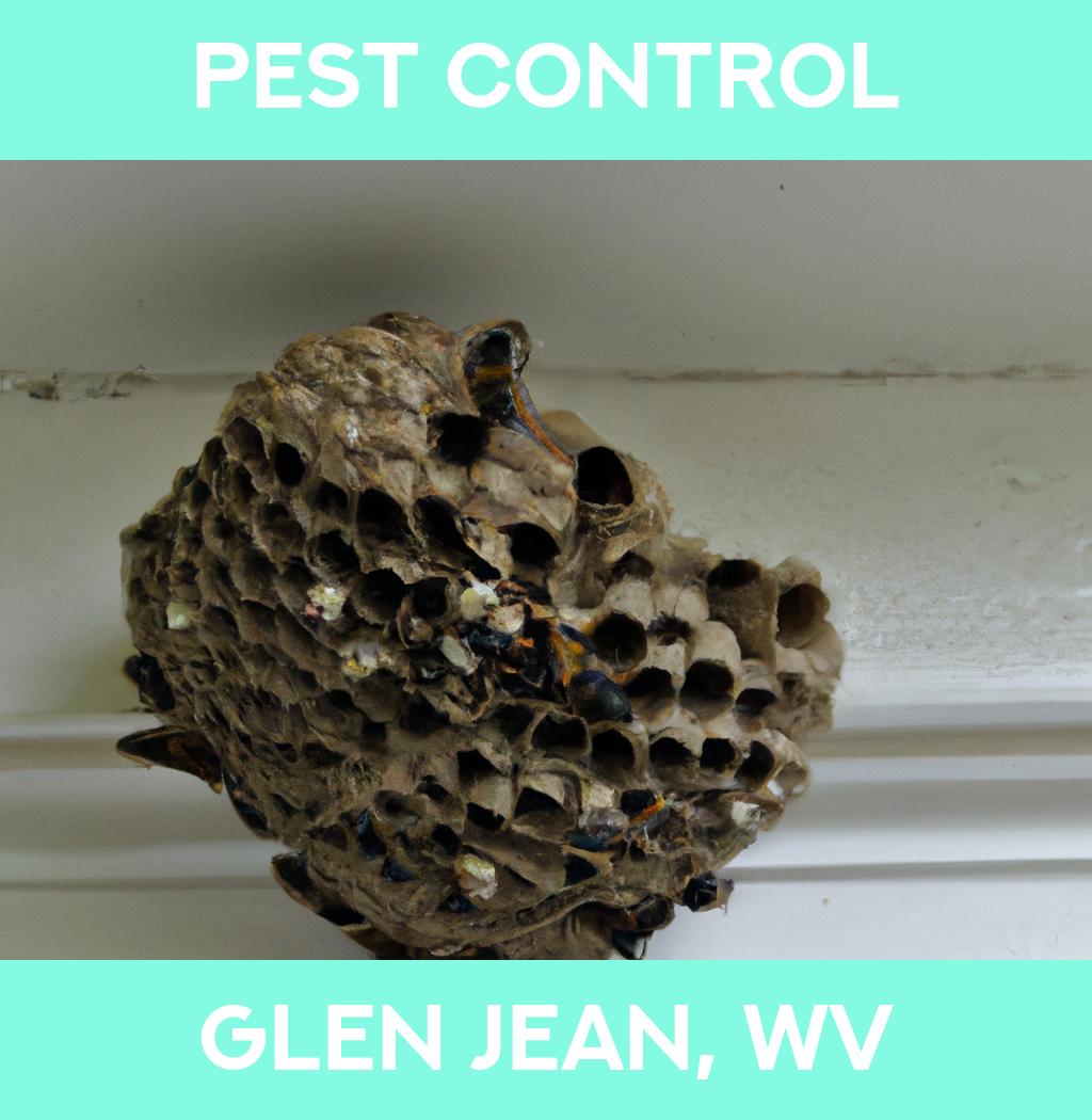 pest control in Glen Jean West Virginia