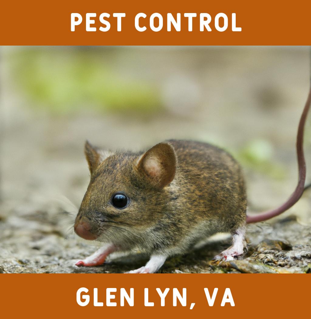 pest control in Glen Lyn Virginia