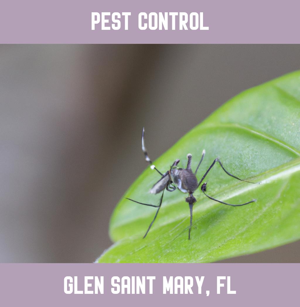 pest control in Glen Saint Mary Florida