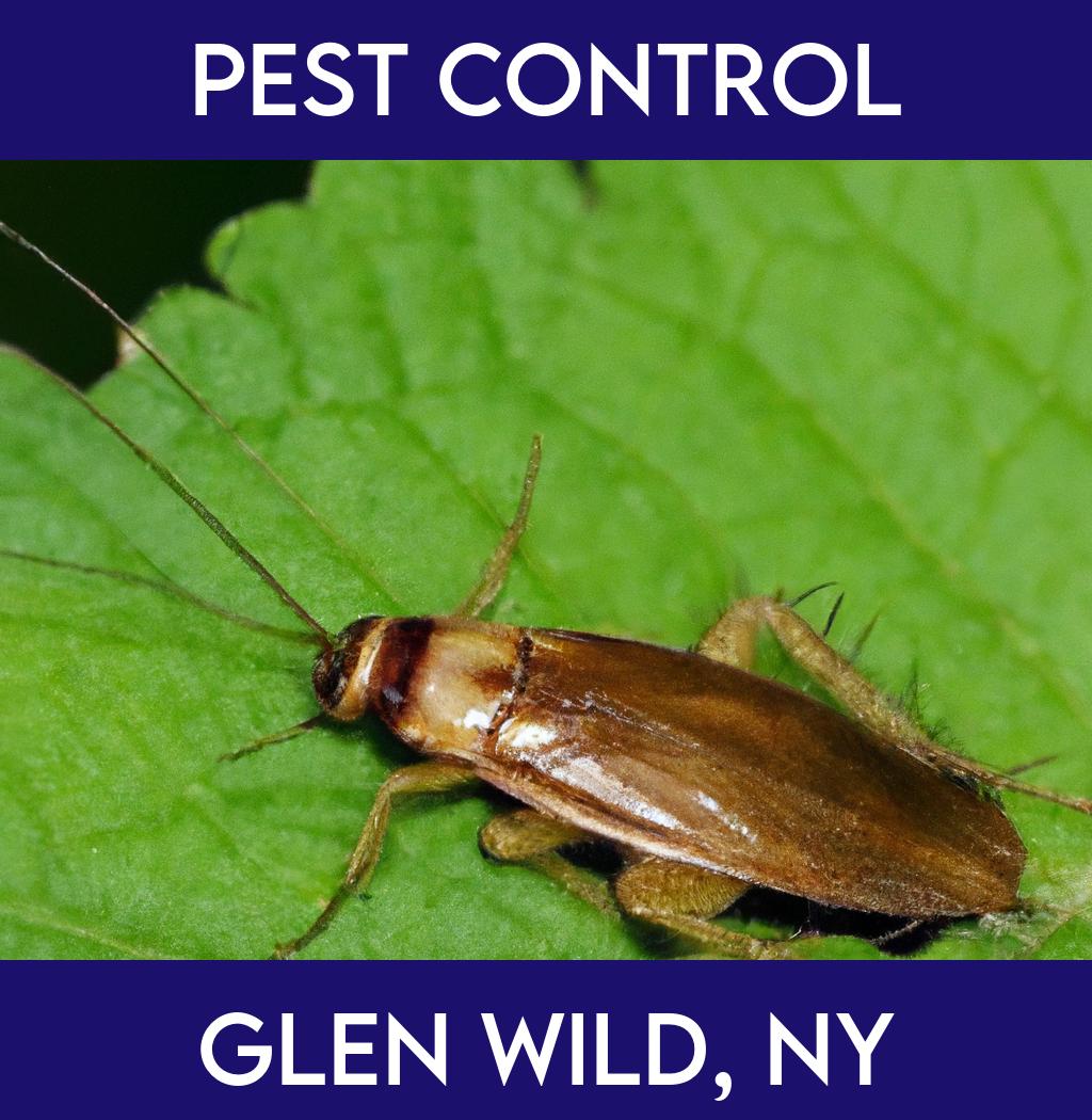 pest control in Glen Wild New York