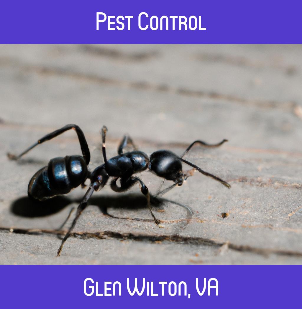 pest control in Glen Wilton Virginia