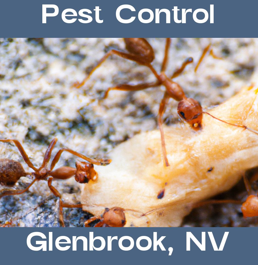 pest control in Glenbrook Nevada