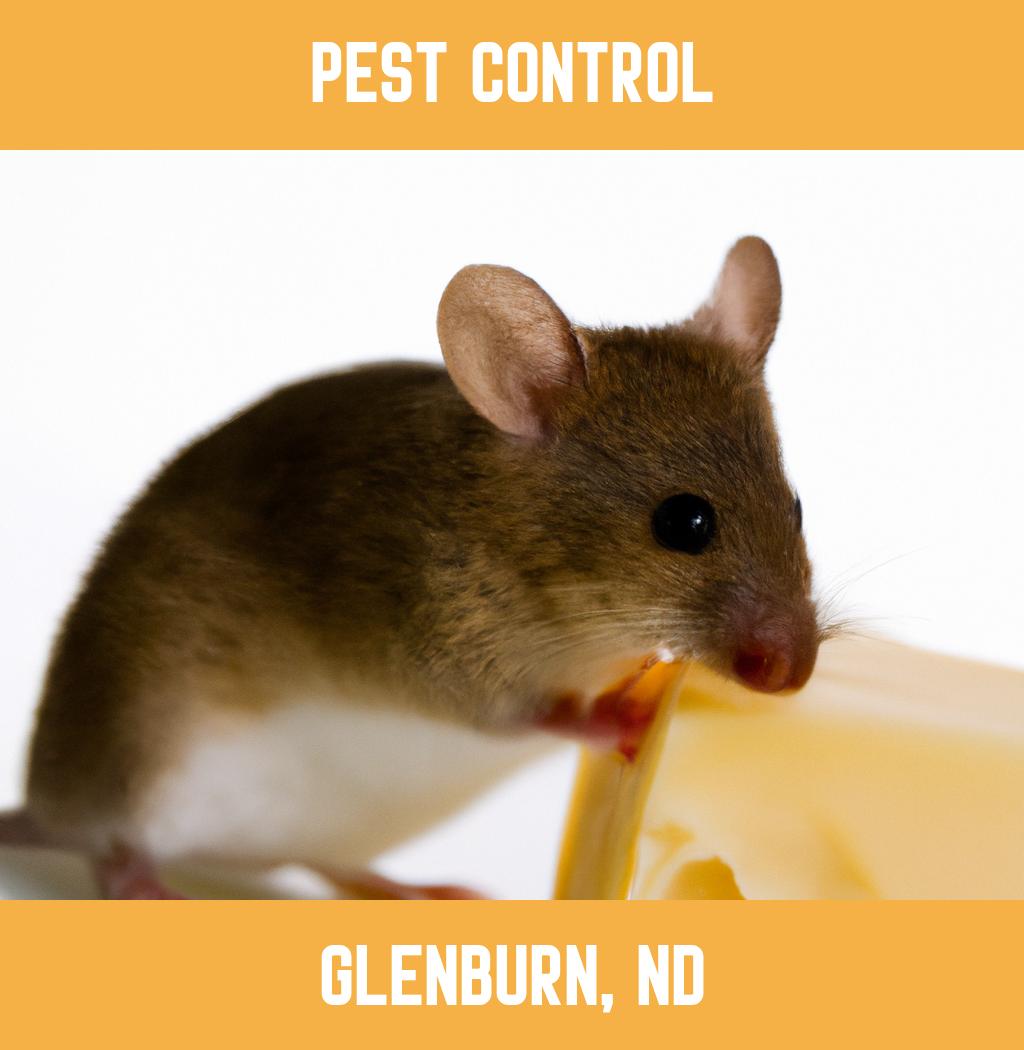 pest control in Glenburn North Dakota