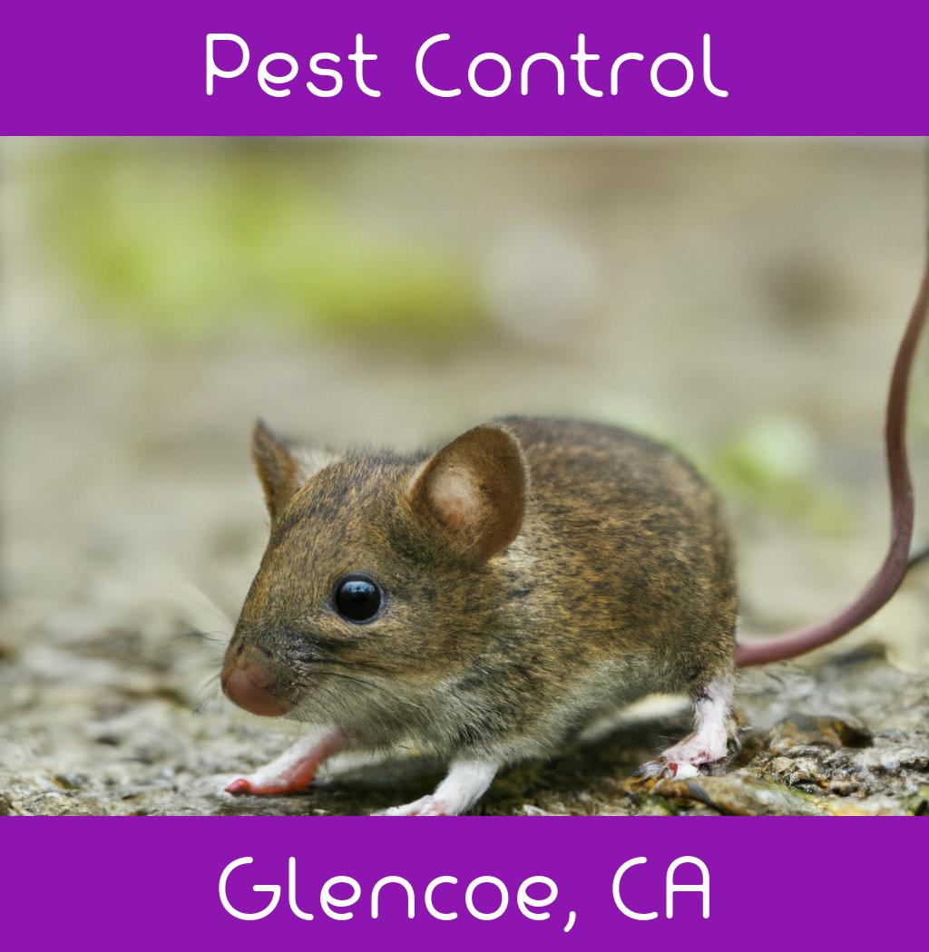 pest control in Glencoe California