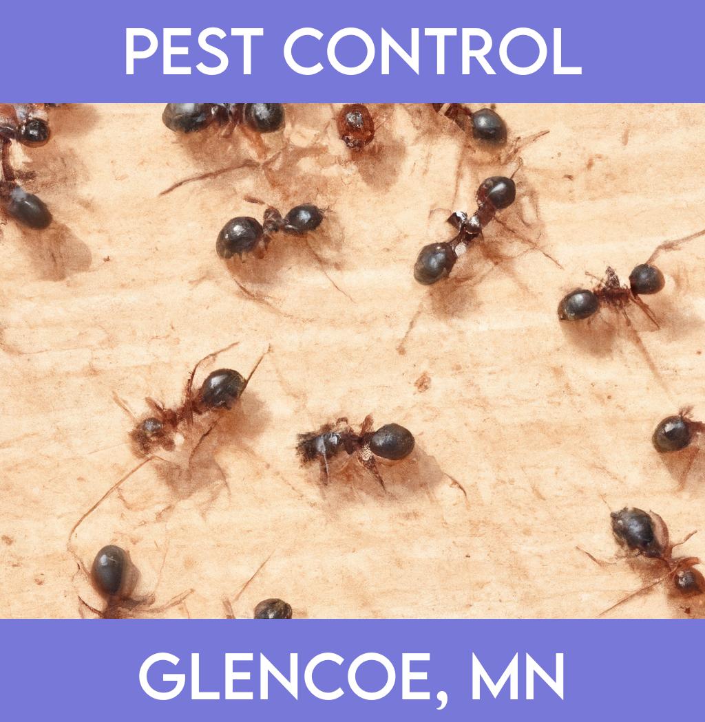 pest control in Glencoe Minnesota