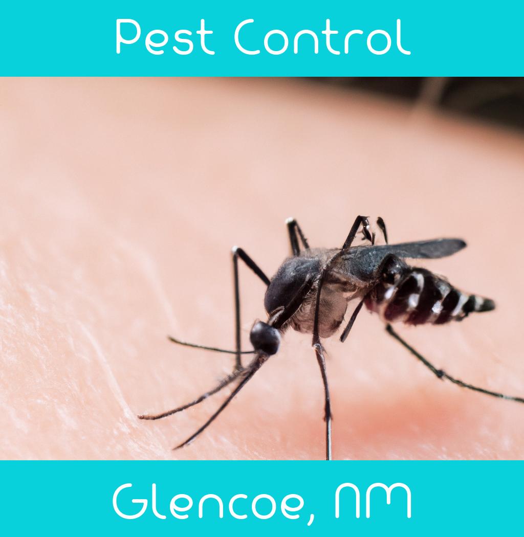 pest control in Glencoe New Mexico