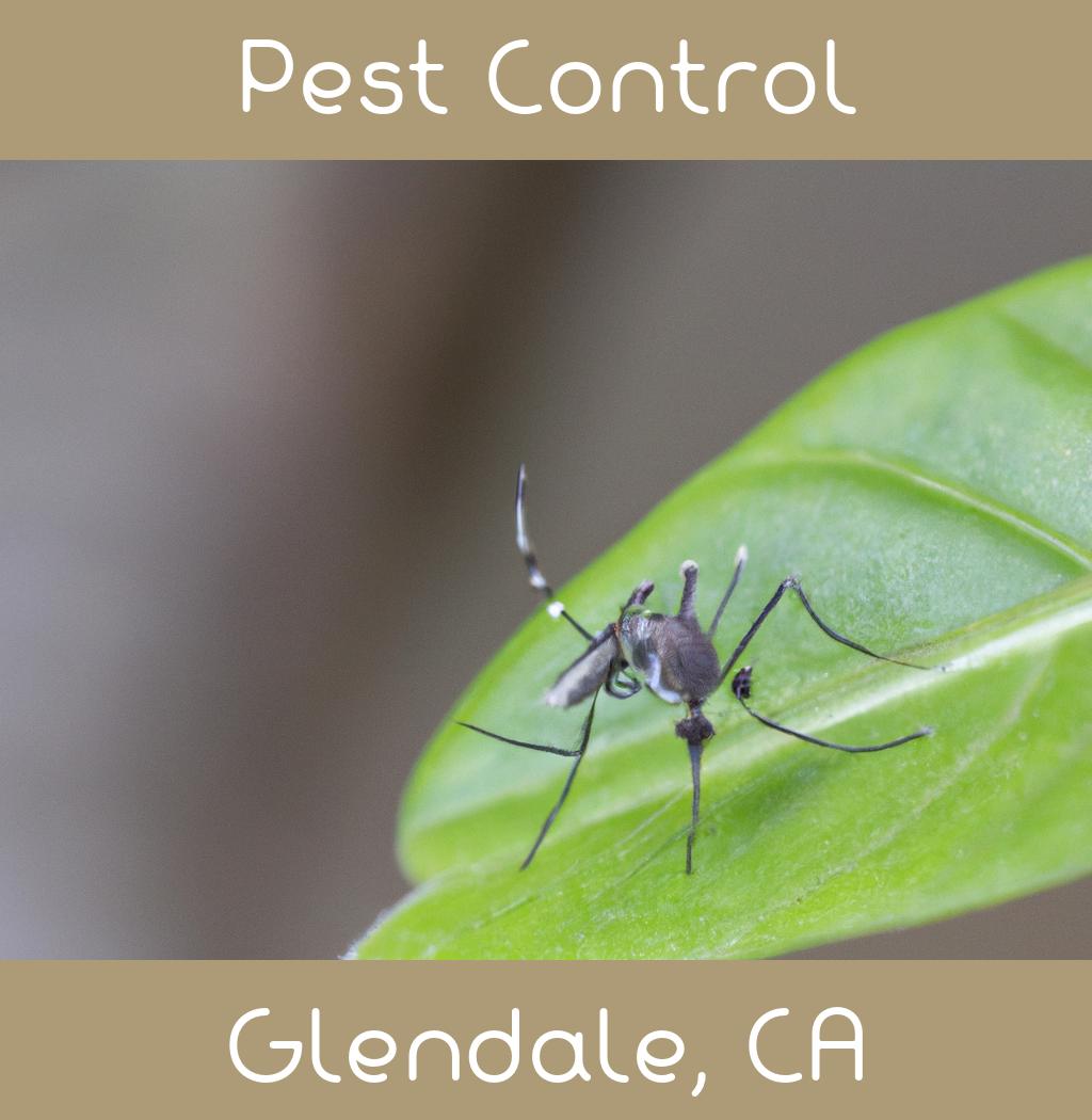 pest control in Glendale California