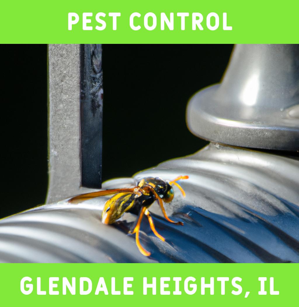 pest control in Glendale Heights Illinois