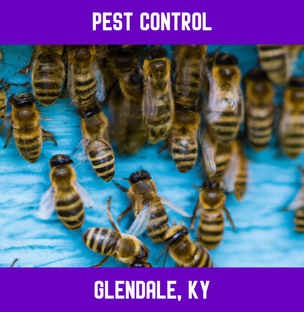 pest control in Glendale Kentucky