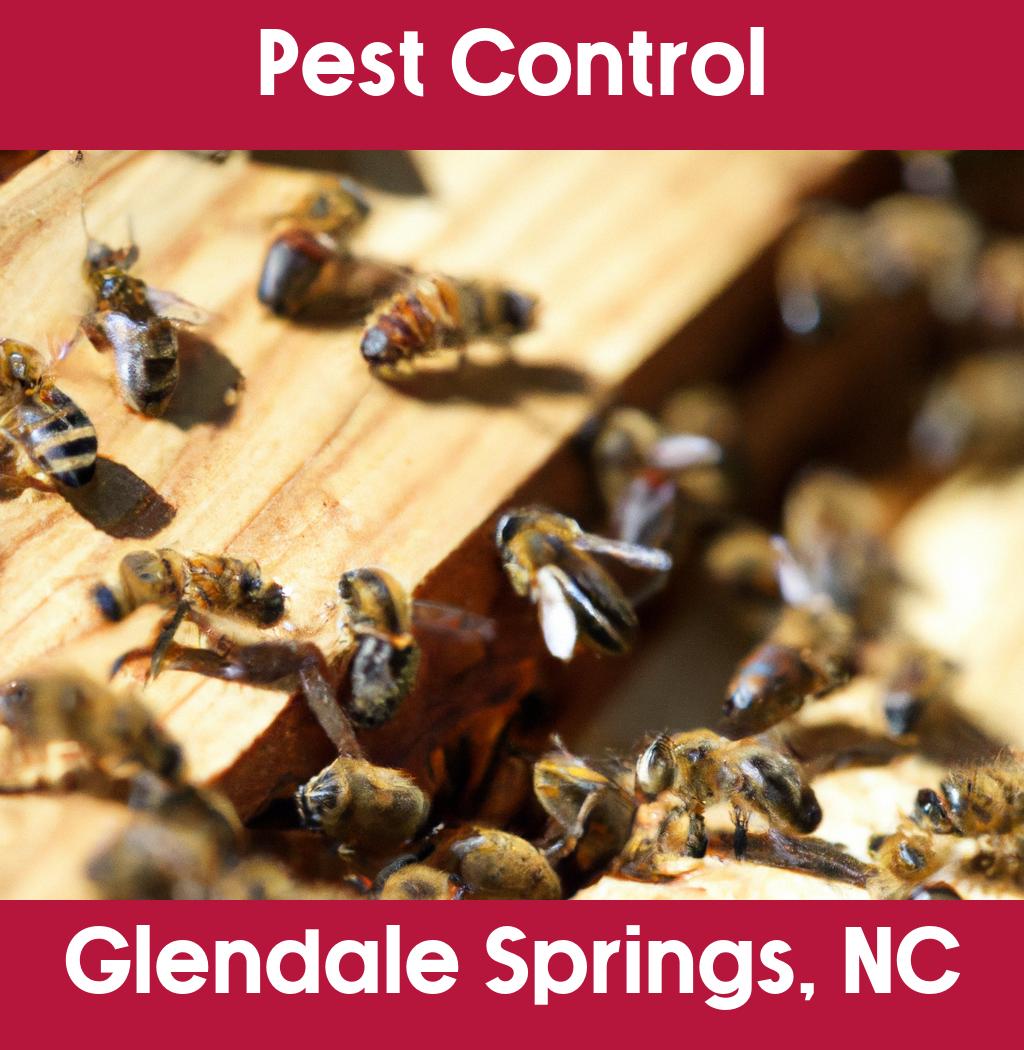 pest control in Glendale Springs North Carolina