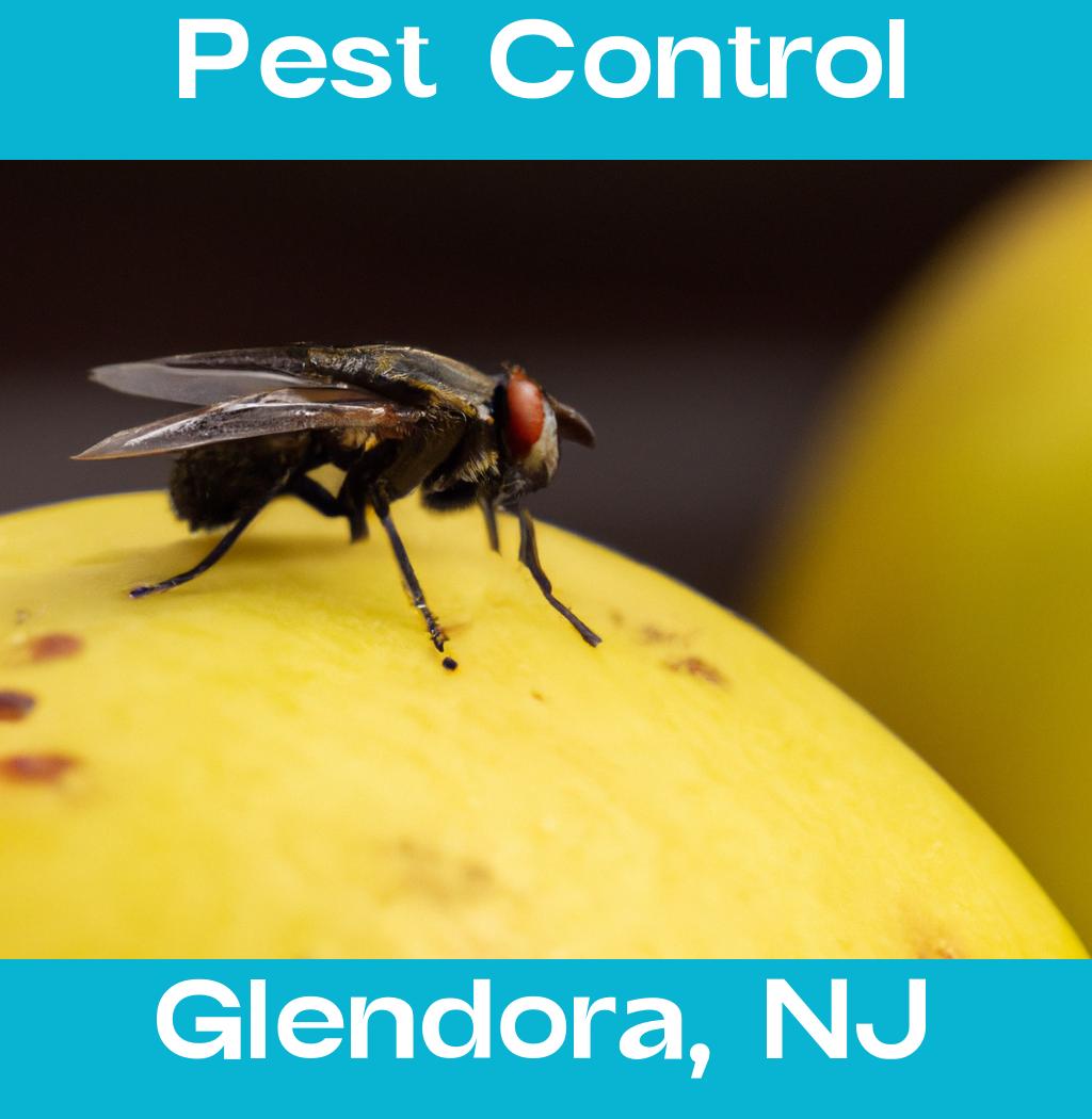 pest control in Glendora New Jersey