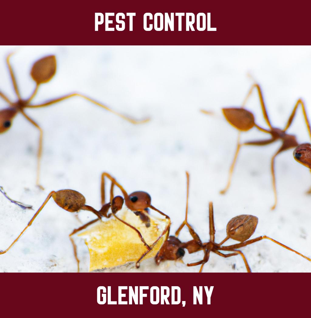 pest control in Glenford New York