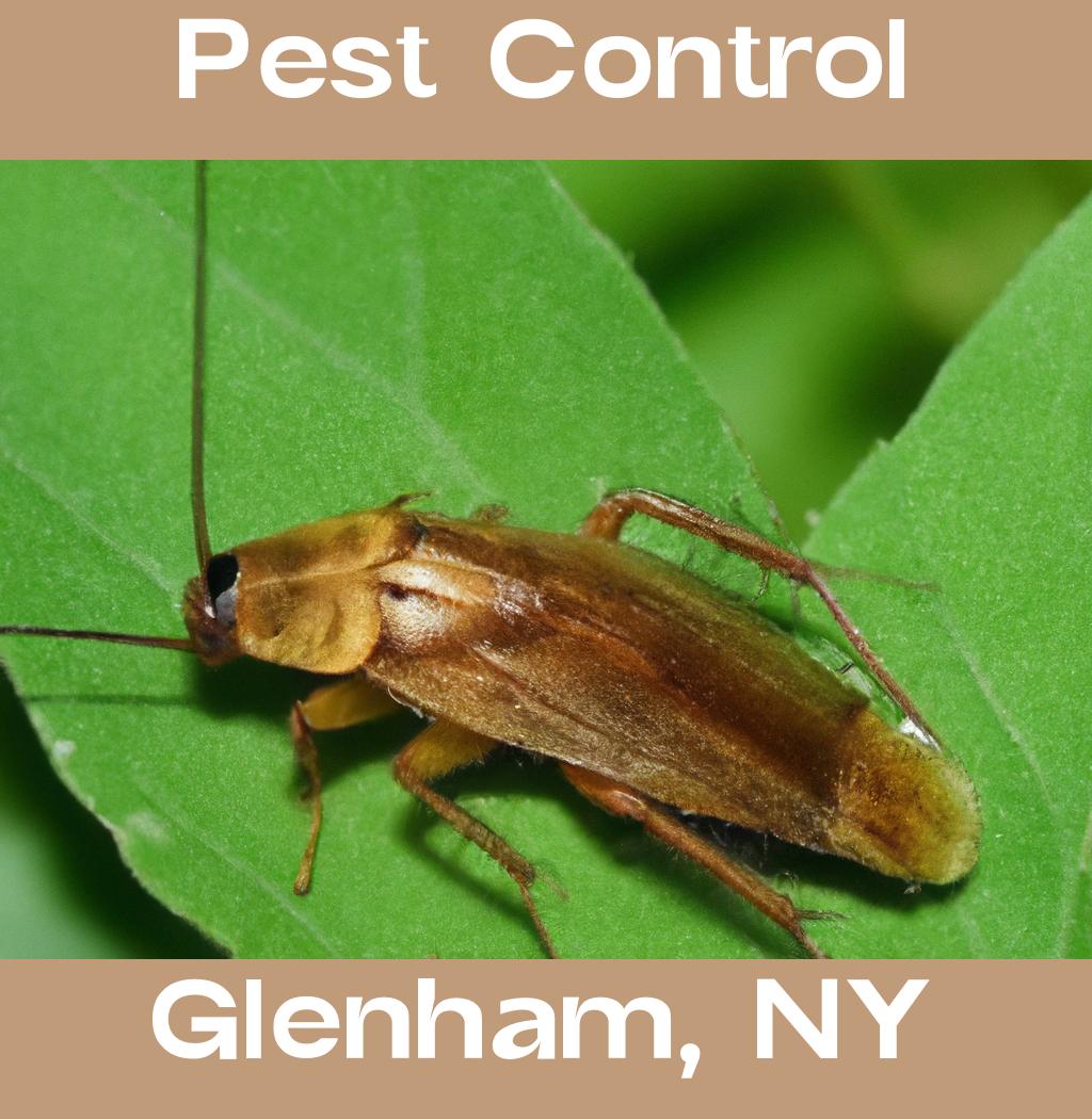 pest control in Glenham New York