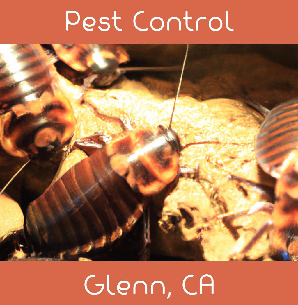 pest control in Glenn California