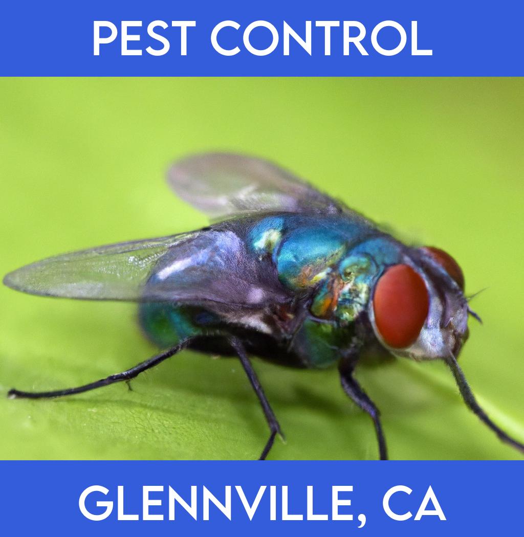 pest control in Glennville California