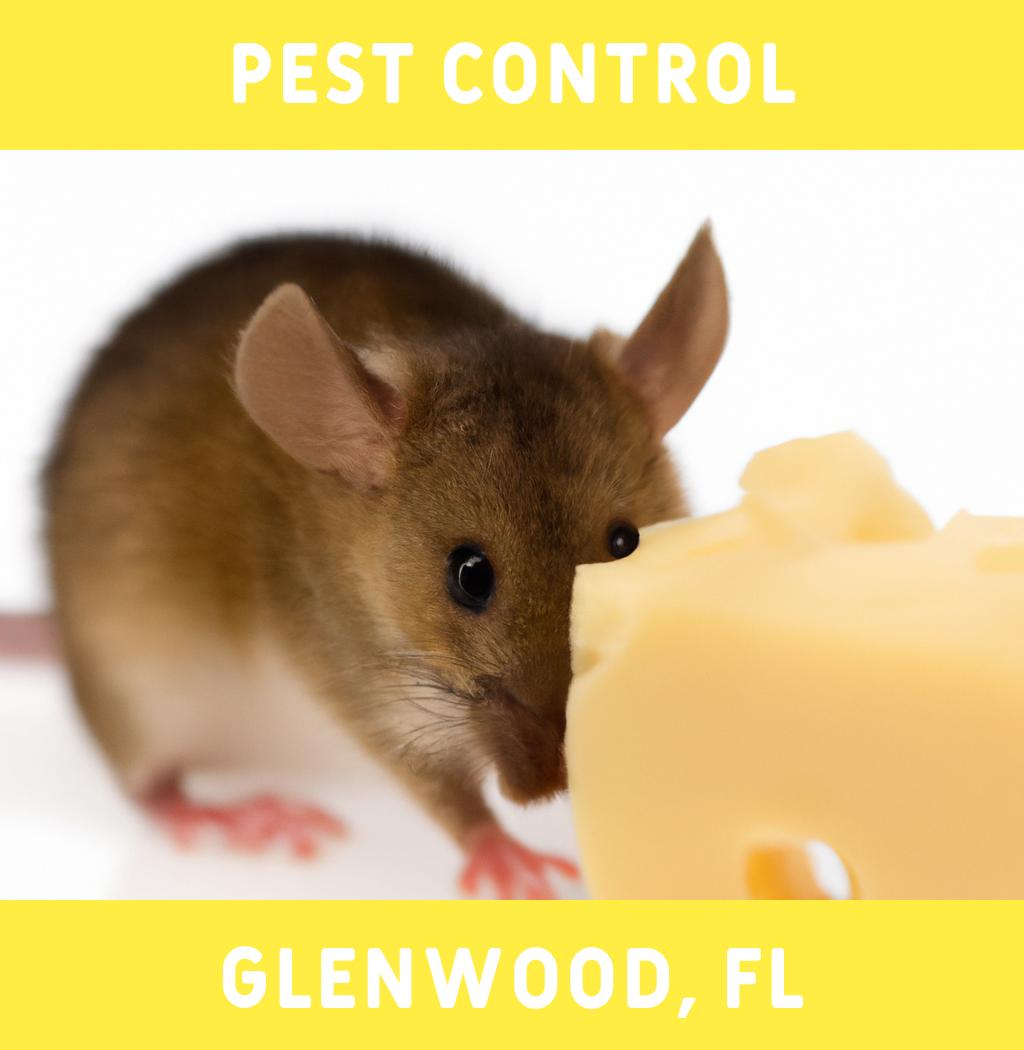 pest control in Glenwood Florida