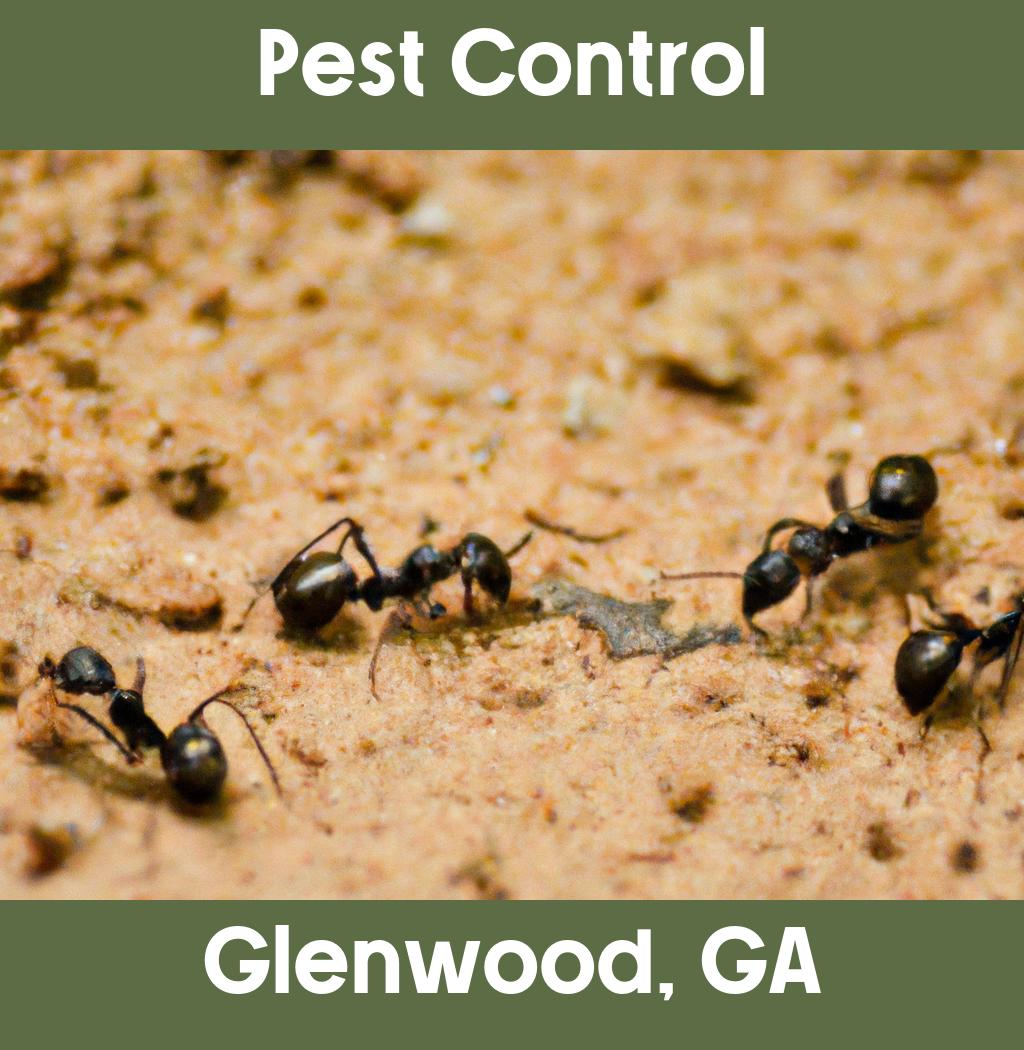 pest control in Glenwood Georgia