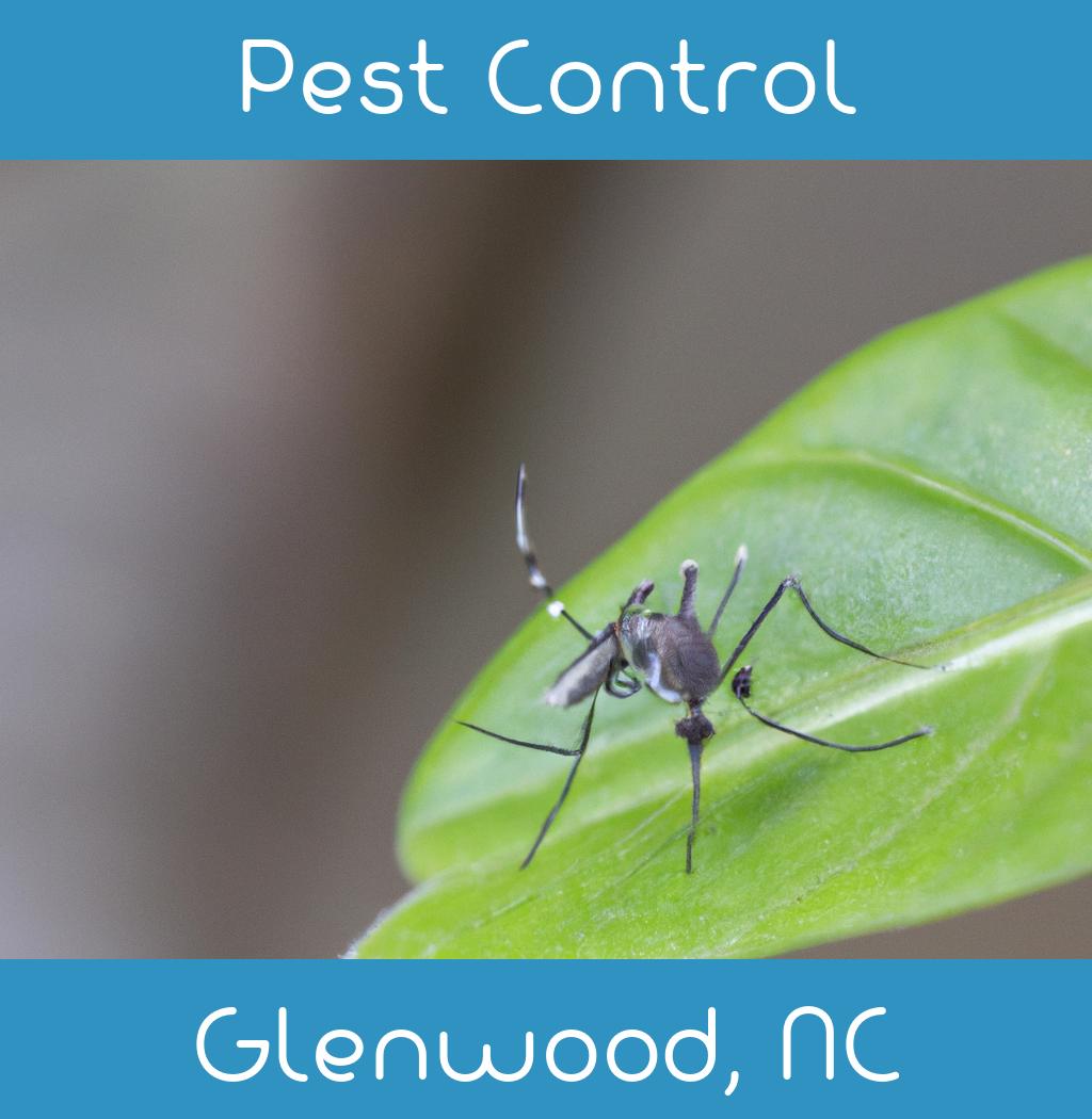 pest control in Glenwood North Carolina