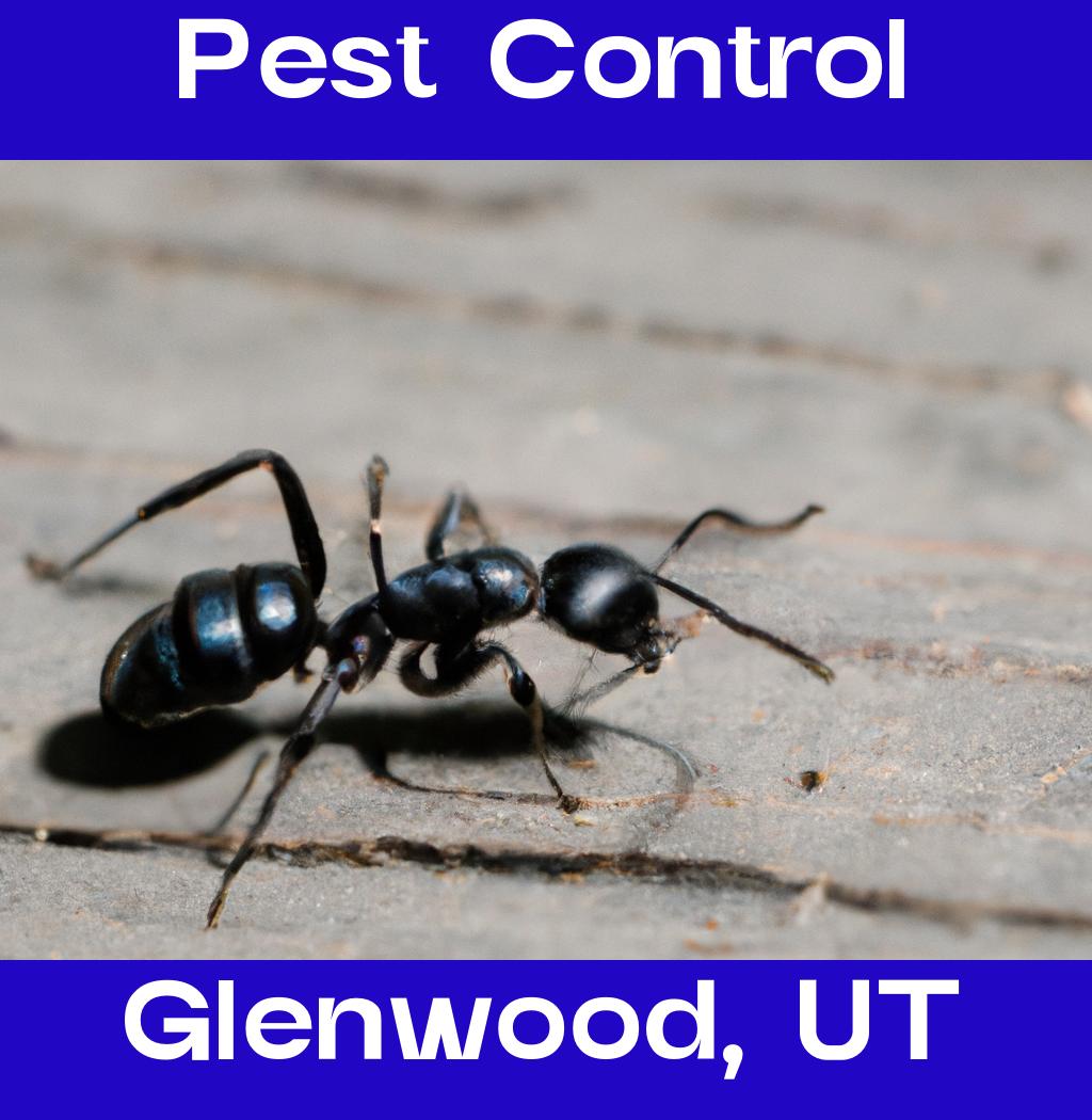 pest control in Glenwood Utah