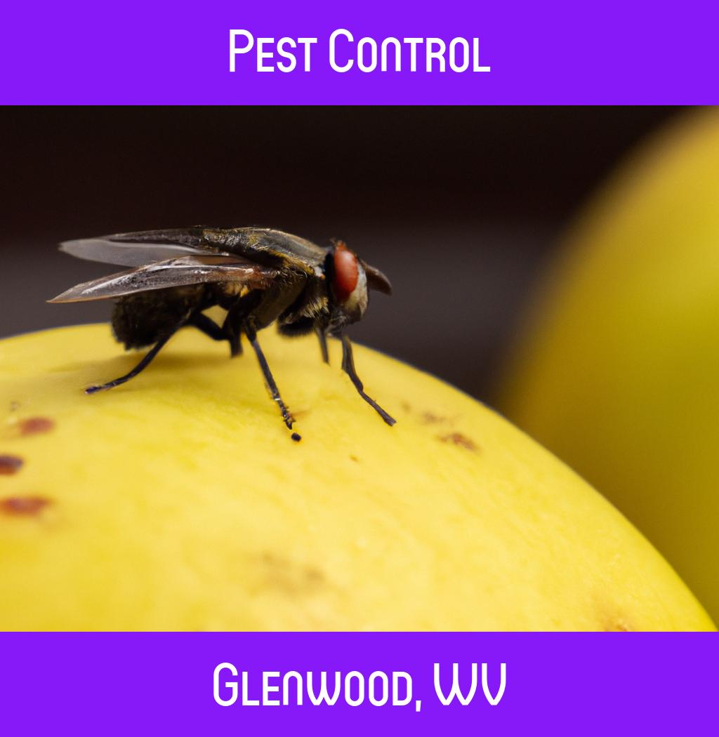 pest control in Glenwood West Virginia