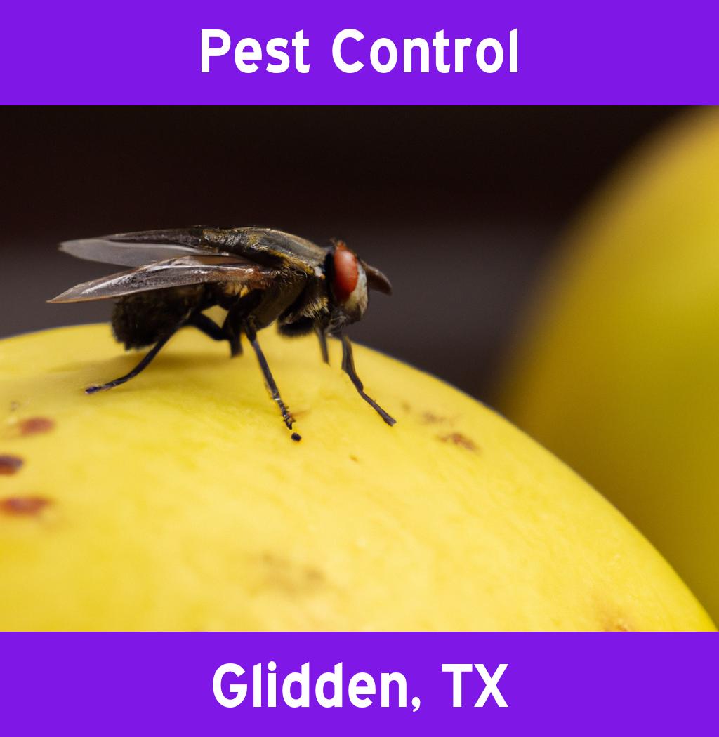 pest control in Glidden Texas