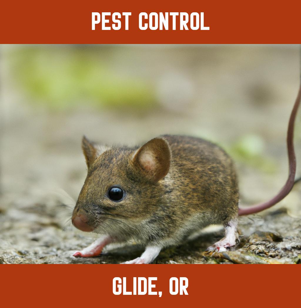 pest control in Glide Oregon