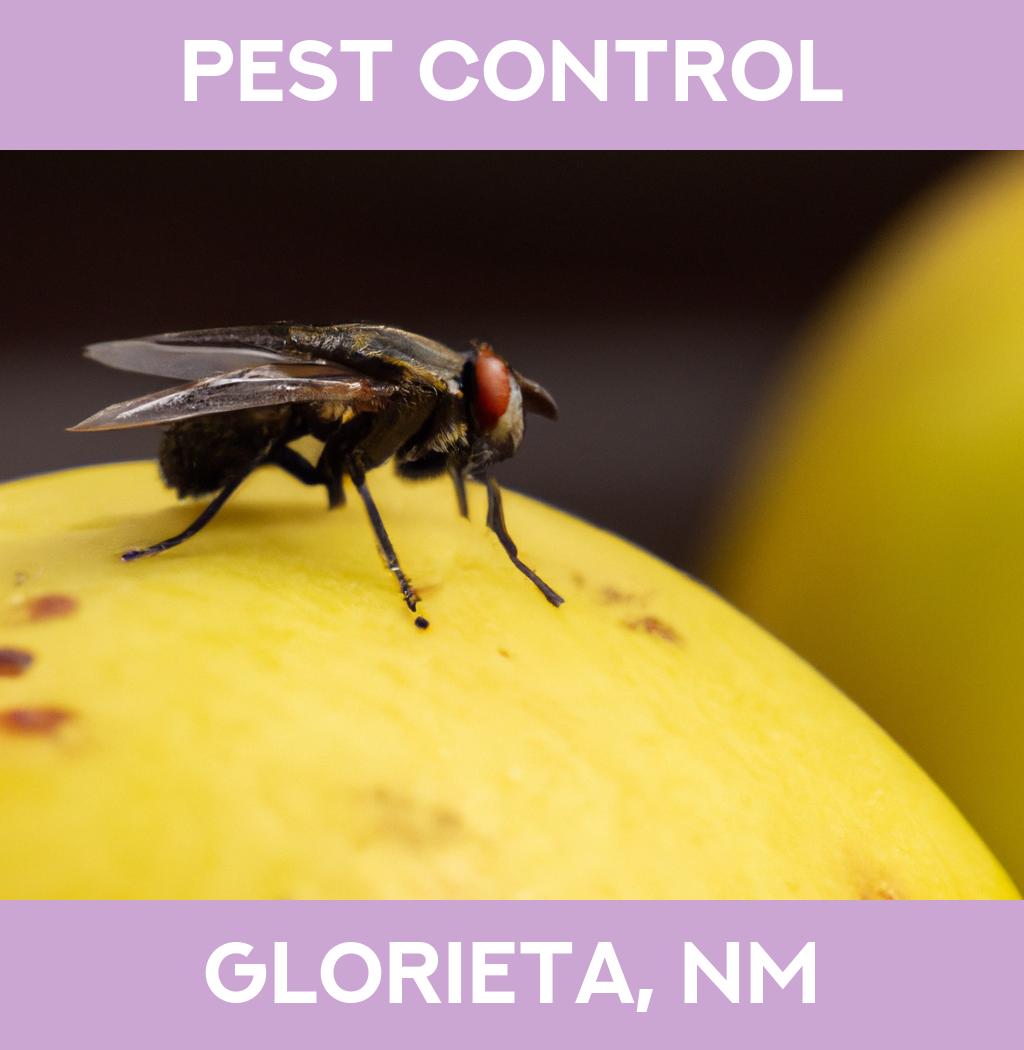 pest control in Glorieta New Mexico