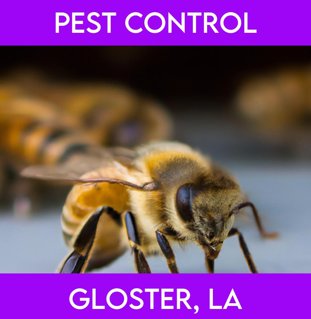 pest control in Gloster Louisiana