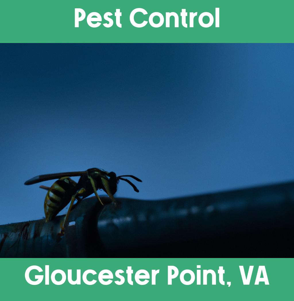 pest control in Gloucester Point Virginia