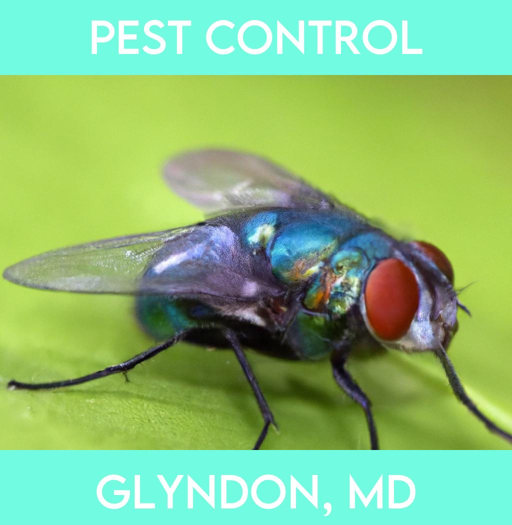 pest control in Glyndon Maryland