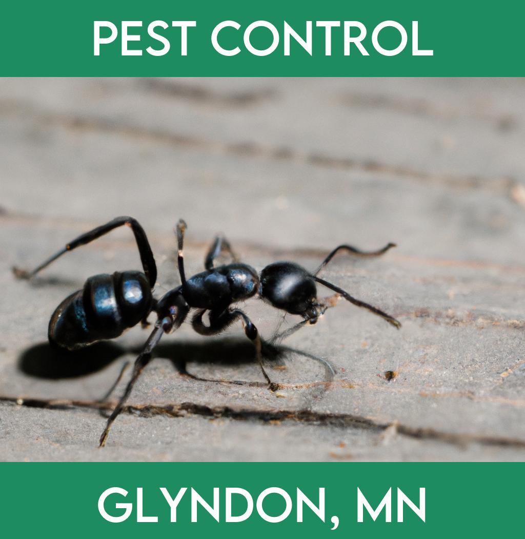 pest control in Glyndon Minnesota