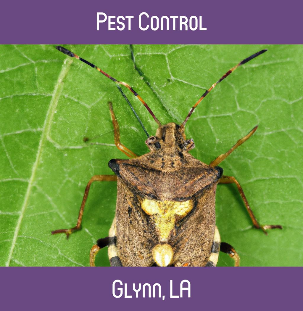 pest control in Glynn Louisiana