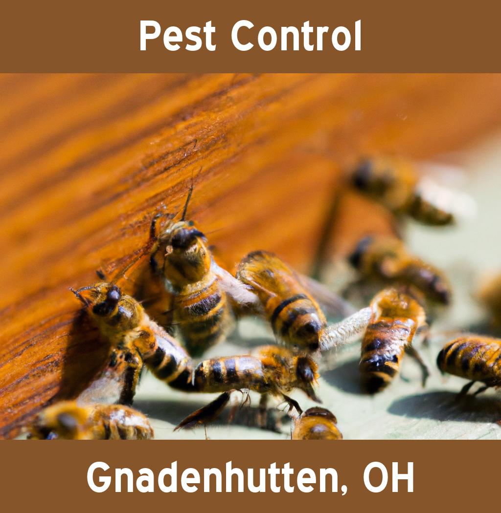 pest control in Gnadenhutten Ohio