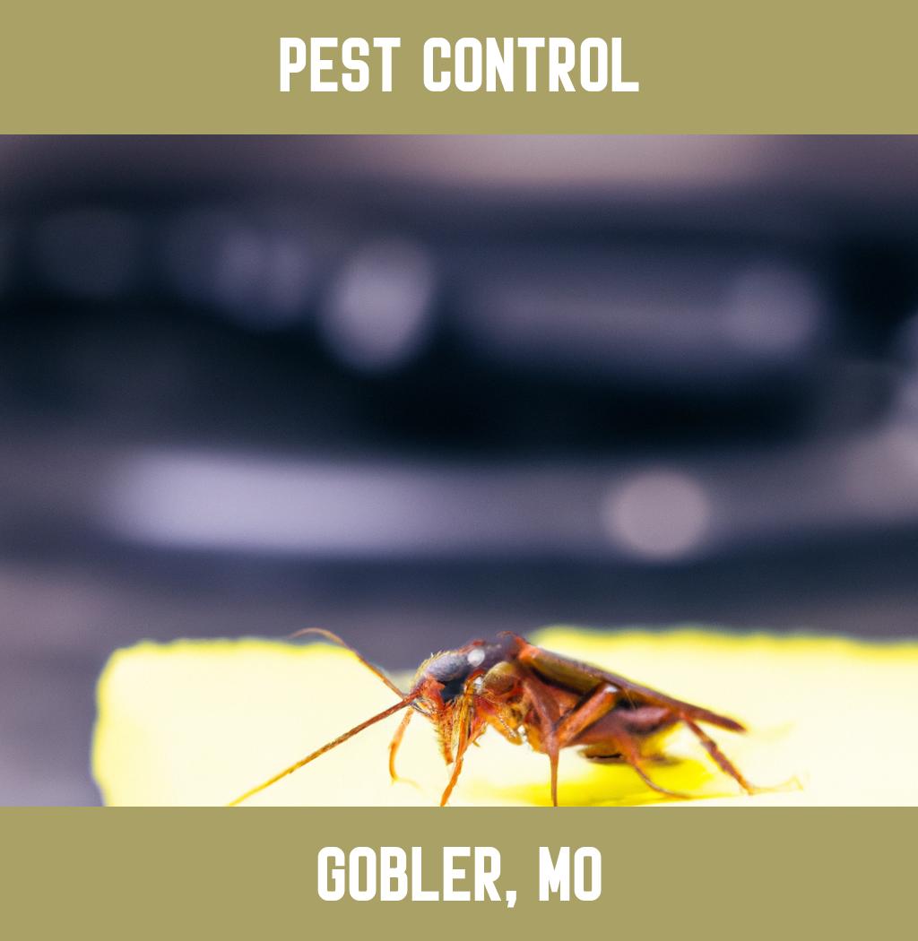 pest control in Gobler Missouri