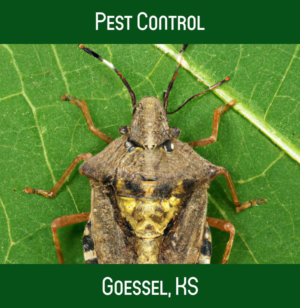 pest control in Goessel Kansas
