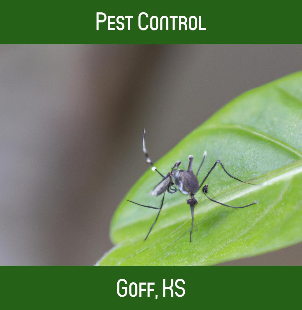 pest control in Goff Kansas
