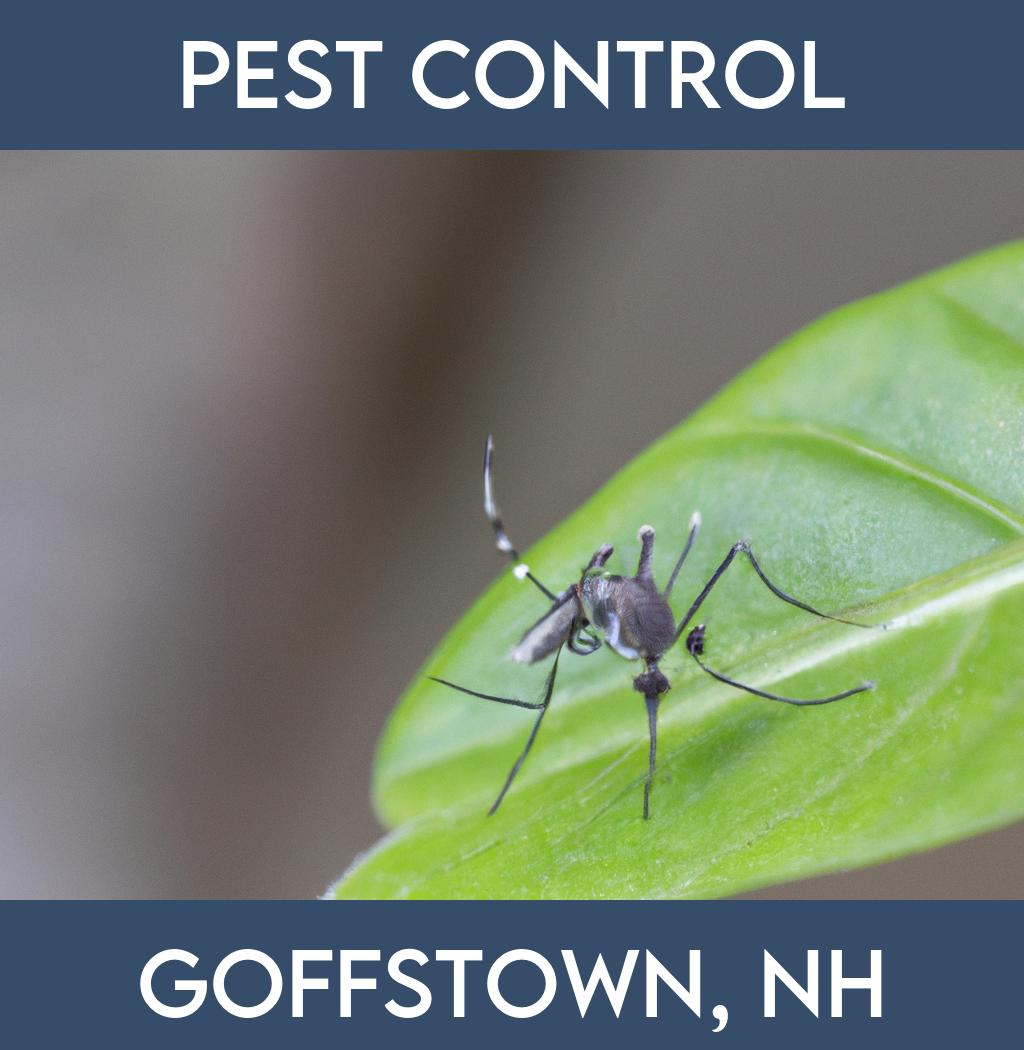 pest control in Goffstown New Hampshire