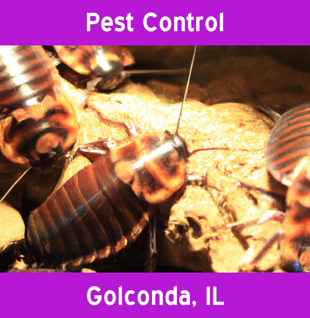 pest control in Golconda Illinois