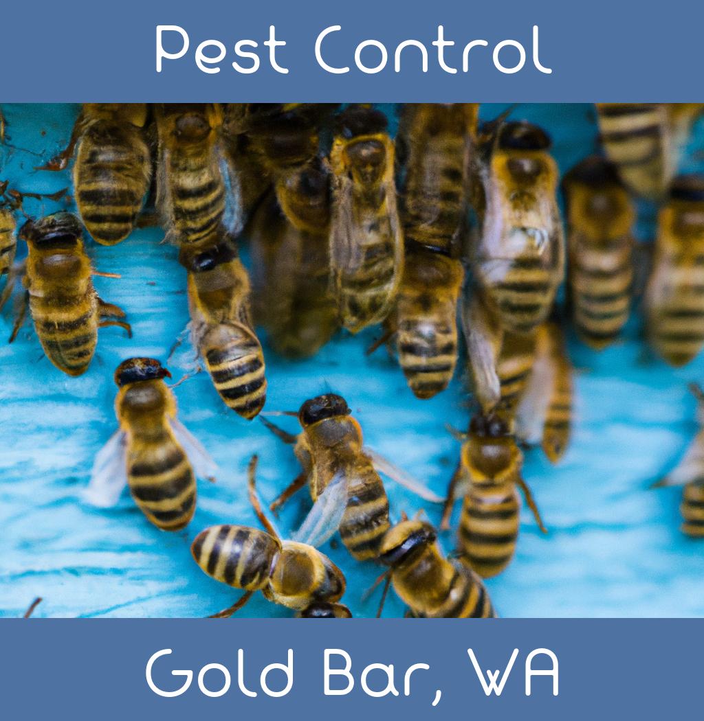 pest control in Gold Bar Washington