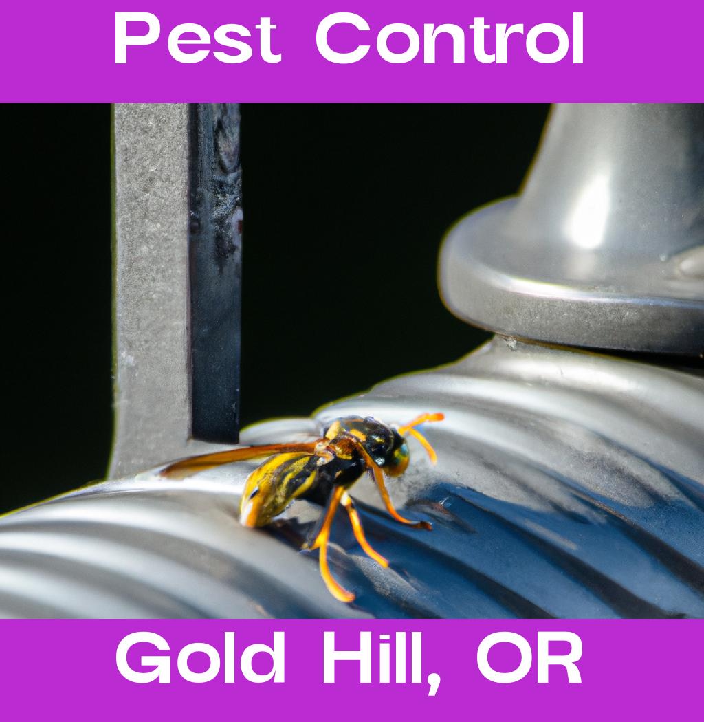 pest control in Gold Hill Oregon