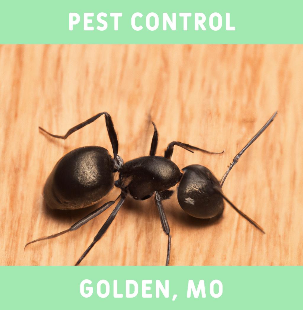 pest control in Golden Missouri