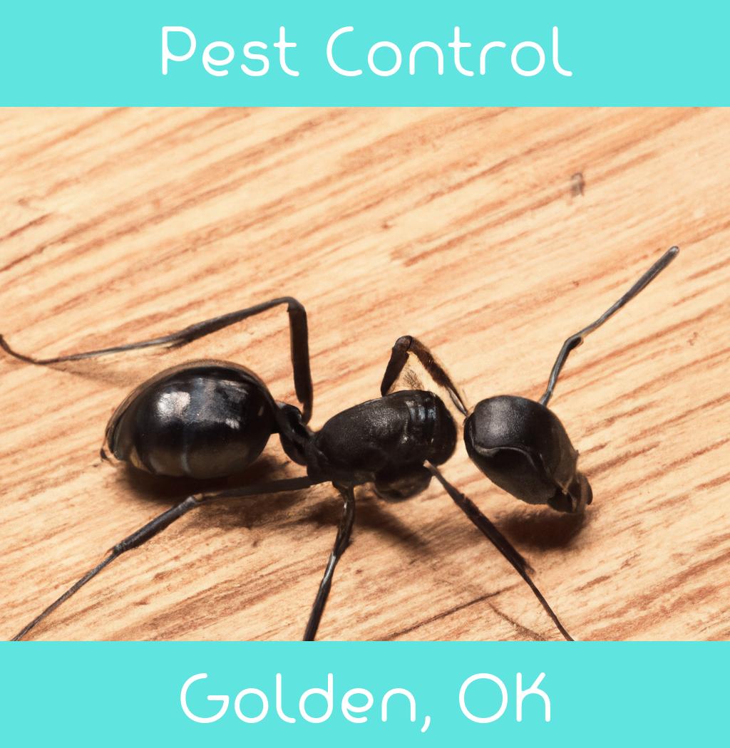 pest control in Golden Oklahoma