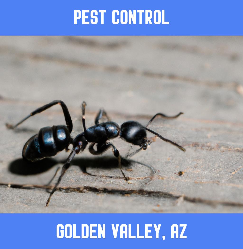 pest control in Golden Valley Arizona