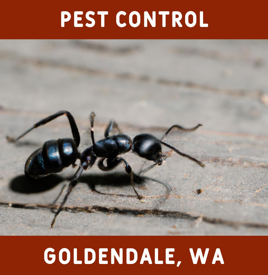 pest control in Goldendale Washington