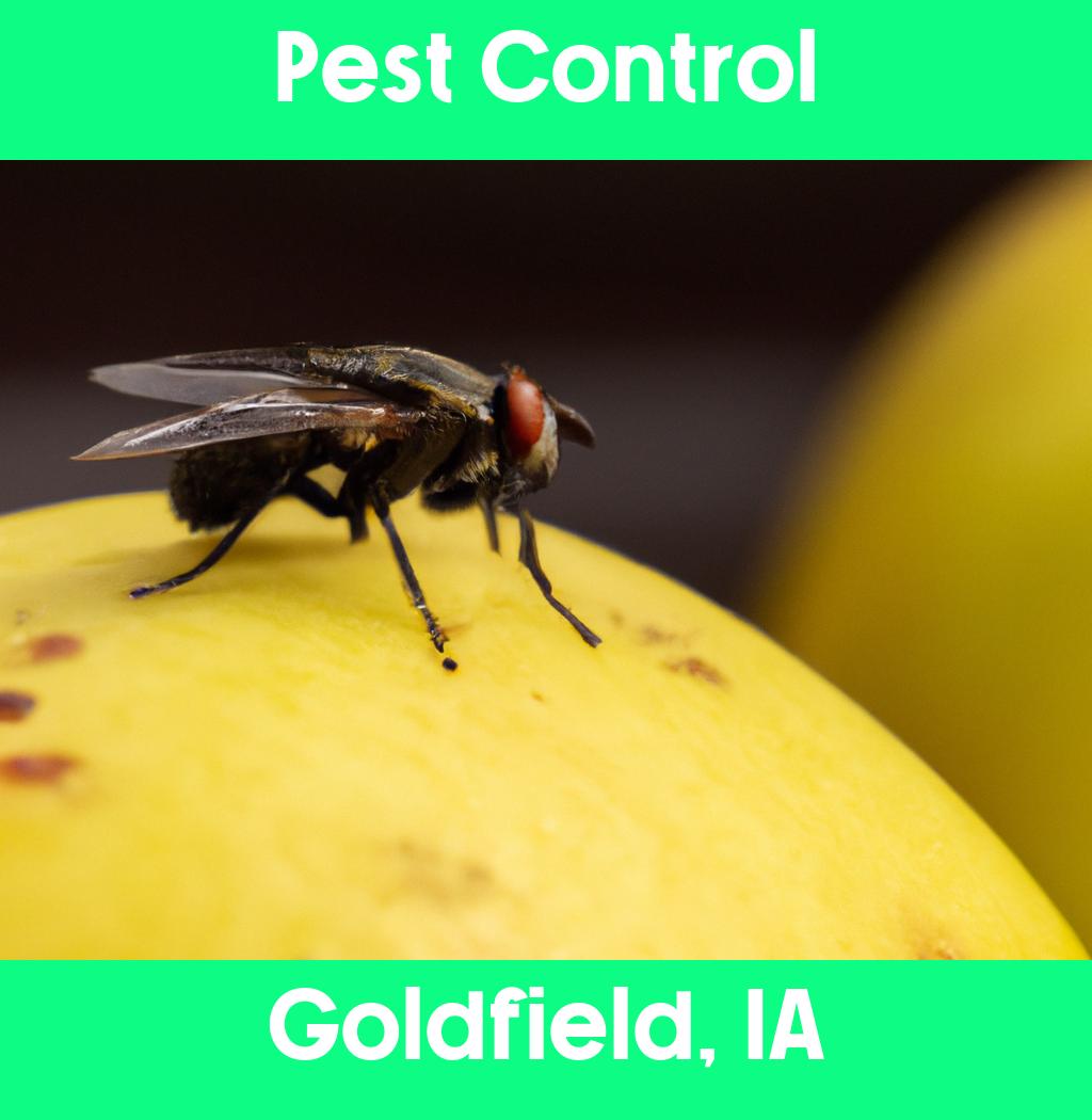 pest control in Goldfield Iowa